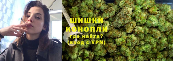 дмт Богородицк
