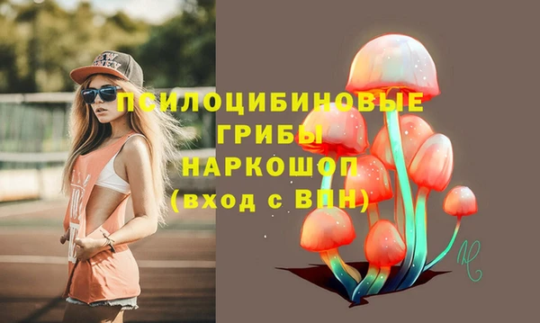 дмт Богородицк
