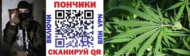 Шишки марихуана Amnesia  Дудинка 